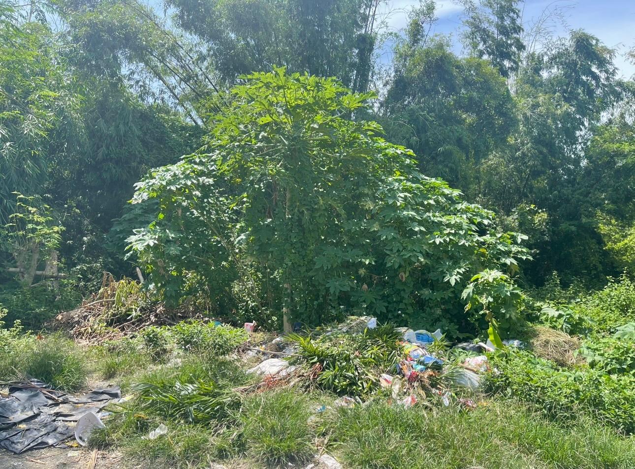 Vacant Lot