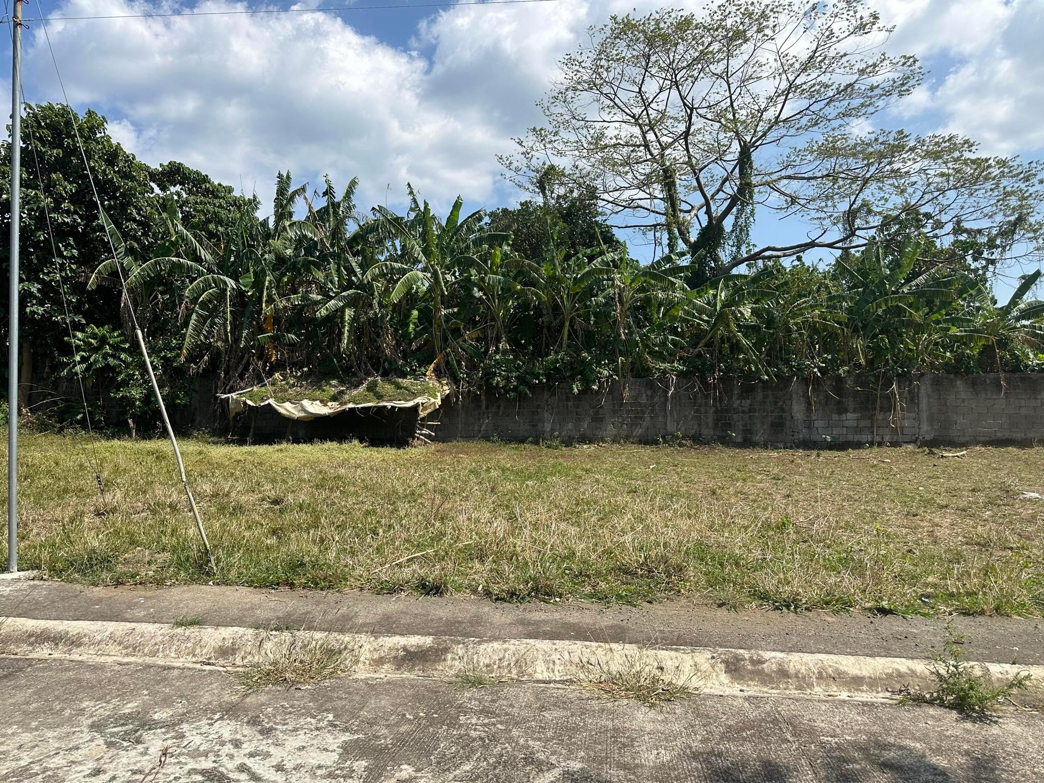 Vacant Lot